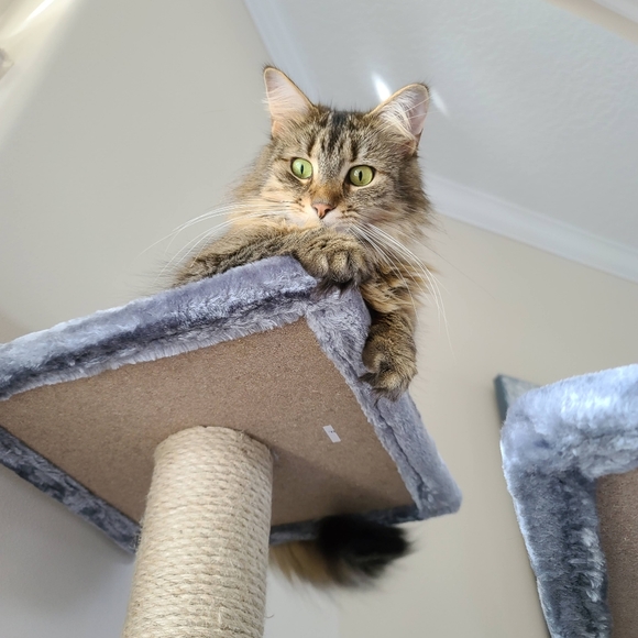 Meet your Posher, Allen - Picture 2 of 2